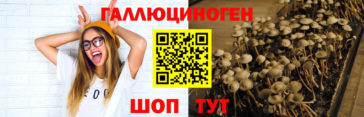 Псилоцибиновые грибы MAGIC MUSHROOMS Тулун